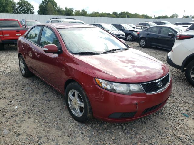 KIA FORTE EX 2010 knafu4a26a5216250