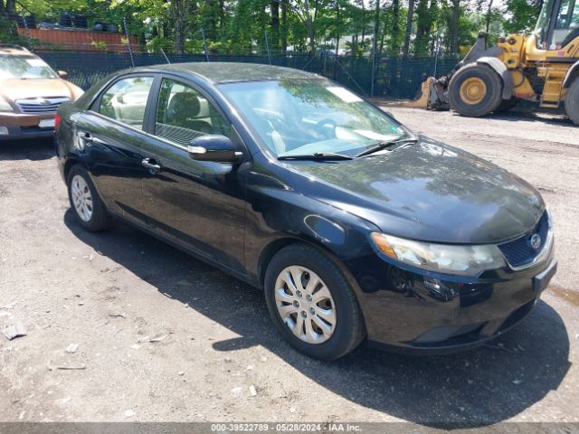 KIA FORTE 2010 knafu4a26a5219858