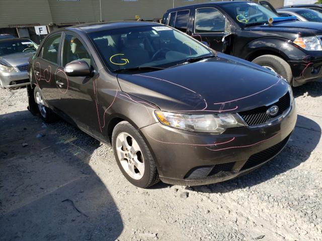 KIA FORTE EX 2010 knafu4a26a5220833