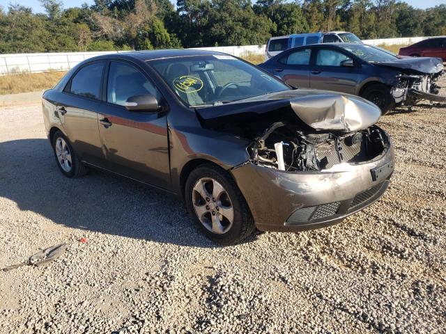 KIA FORTE EX 2010 knafu4a26a5221478