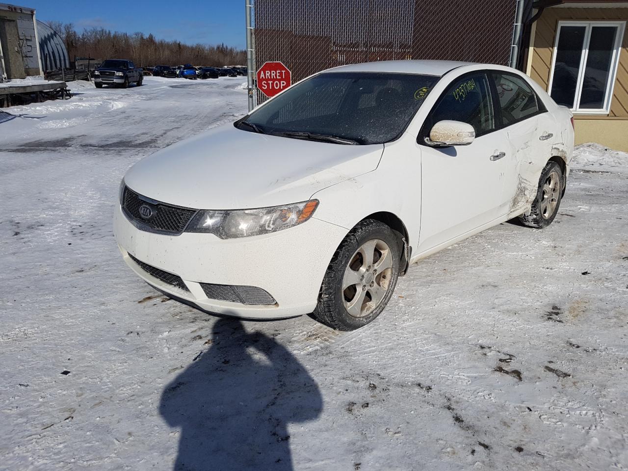 KIA FORTE 2010 knafu4a26a5226888