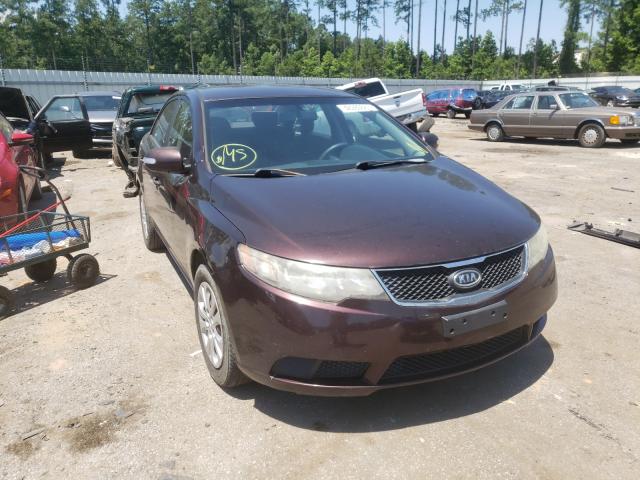 KIA FORTE EX 2010 knafu4a26a5231282