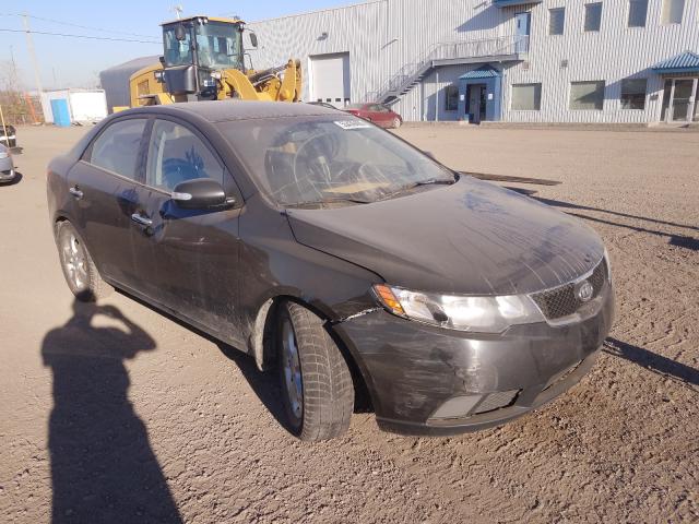 KIA FORTE EX 2010 knafu4a26a5231525