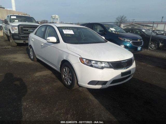 KIA FORTE 2010 knafu4a26a5234618