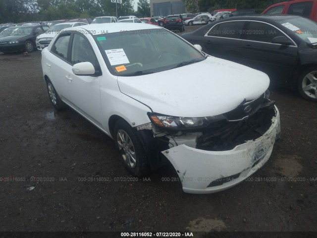 KIA FORTE 2010 knafu4a26a5236191