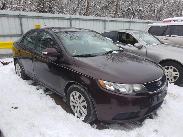 KIA FORTE EX 2010 knafu4a26a5237695