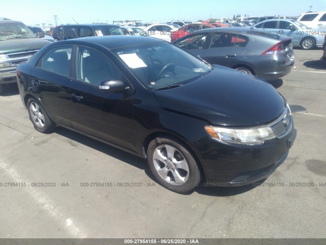 KIA FORTE 2010 knafu4a26a5242556