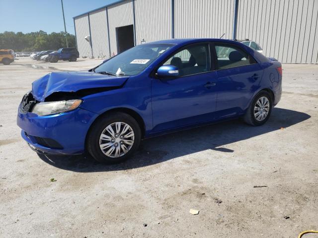 KIA FORTE 2010 knafu4a26a5246428