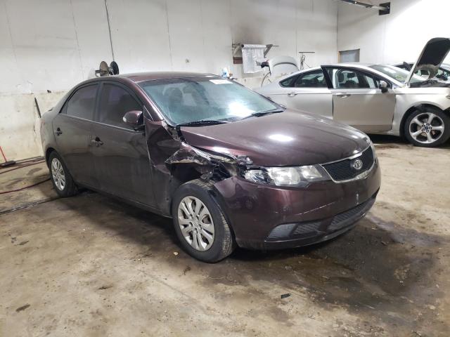 KIA FORTE EX 2010 knafu4a26a5272205