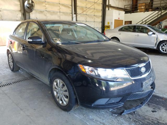 KIA FORTE EX 2010 knafu4a26a5272401