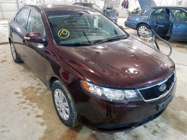 KIA FORTE EX 2010 knafu4a26a5275329