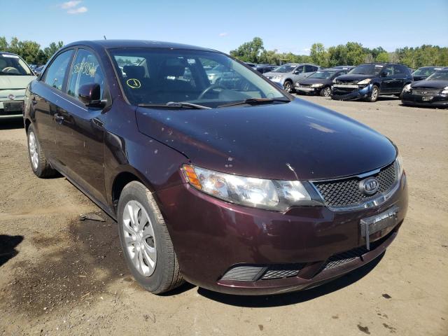 KIA FORTE EX 2010 knafu4a26a5295886