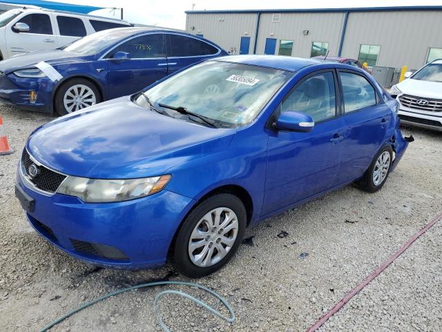 KIA FORTE 2010 knafu4a26a5301931