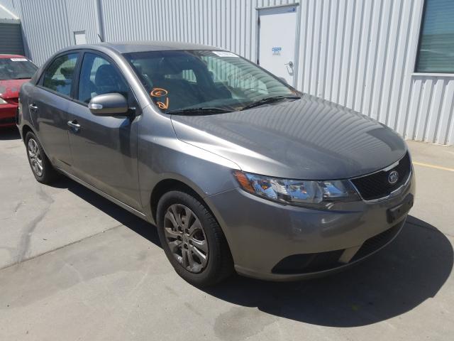 KIA FORTE 2010 knafu4a26a5309933