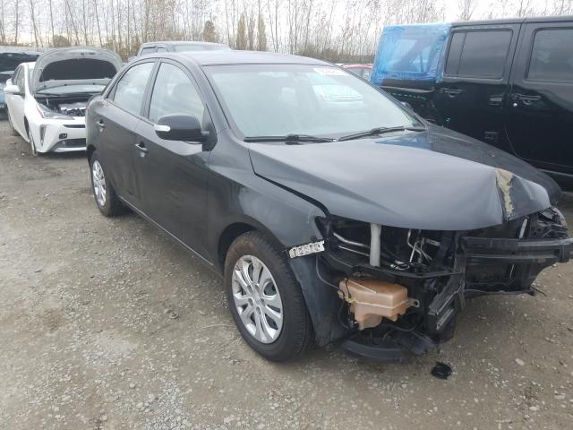 KIA FORTE EX 2010 knafu4a26a5806772