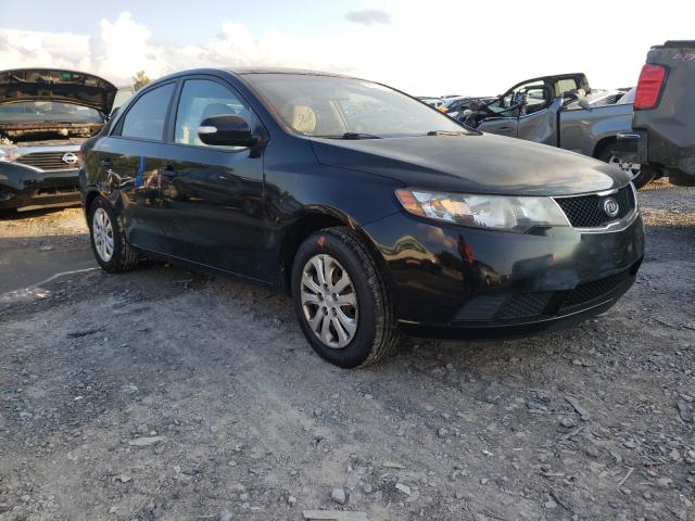 KIA FORTE EX 2010 knafu4a26a5809624