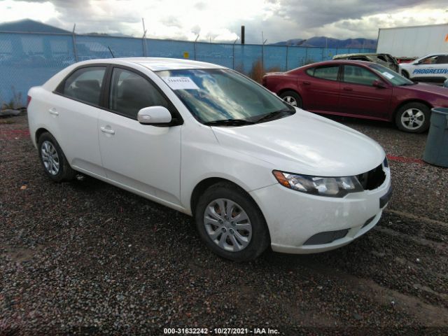 KIA FORTE 2010 knafu4a26a5810949