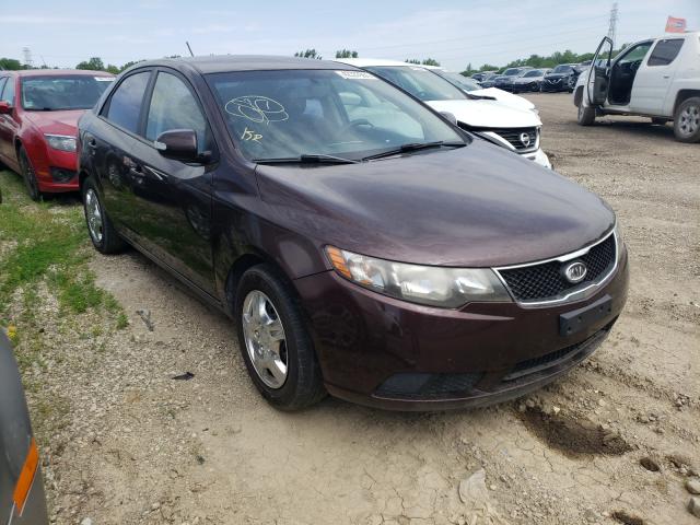 KIA FORTE EX 2010 knafu4a26a5813379