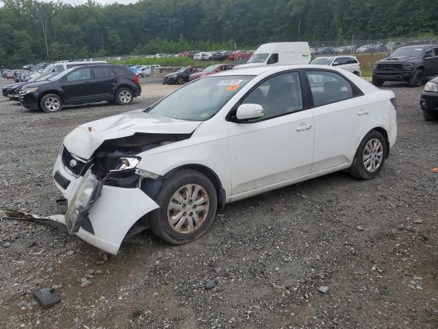 KIA FORTE EX 2010 knafu4a26a5815116