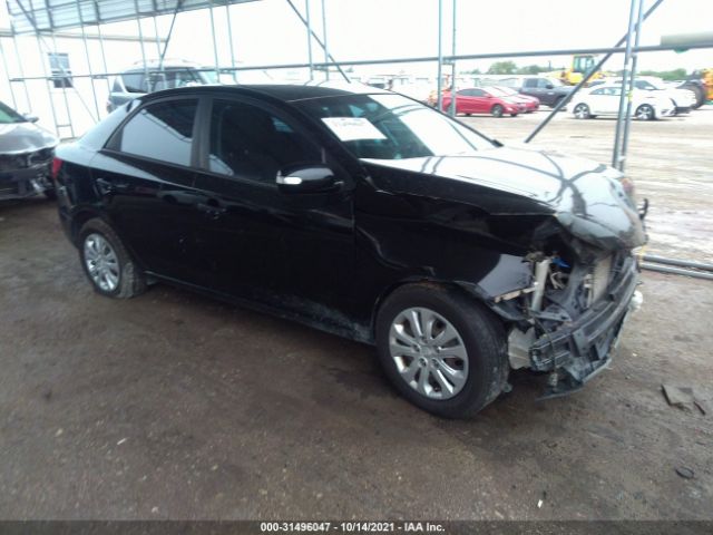 KIA FORTE 2010 knafu4a26a5823894