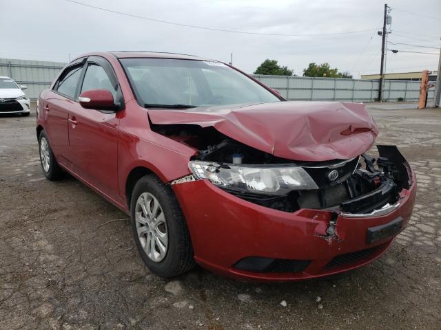 KIA FORTE EX 2010 knafu4a26a5827850