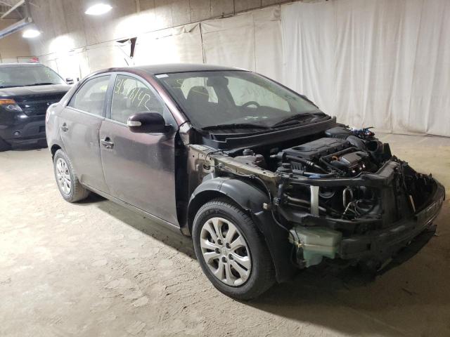 KIA FORTE EX 2010 knafu4a26a5828190