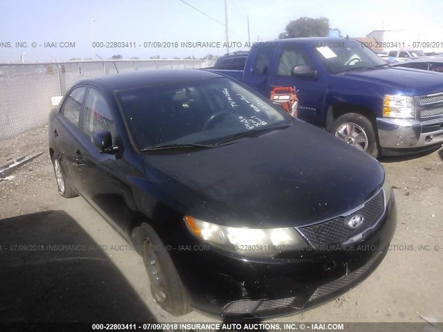 KIA FORTE 2010 knafu4a26a5829467