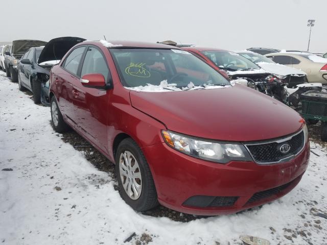 KIA FORTE EX 2010 knafu4a26a5831719