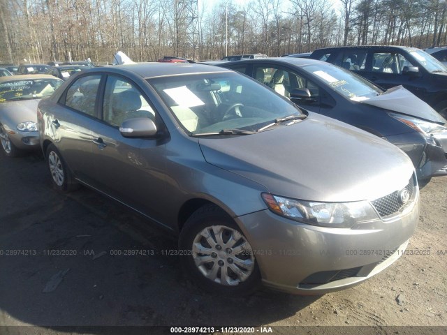 KIA FORTE 2010 knafu4a26a5833924