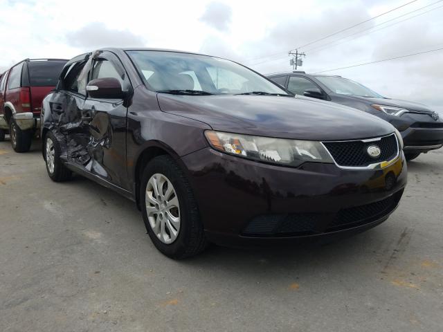 KIA FORTE EX 2010 knafu4a26a5837049