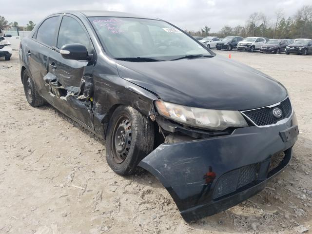 KIA FORTE EX 2010 knafu4a26a5843742