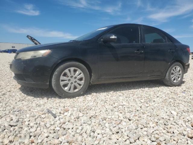 KIA FORTE 2010 knafu4a26a5845037