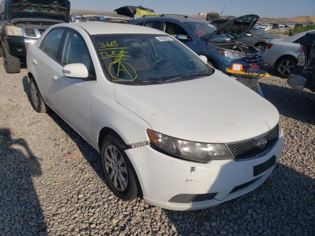 KIA FORTE EX 2010 knafu4a26a5847161