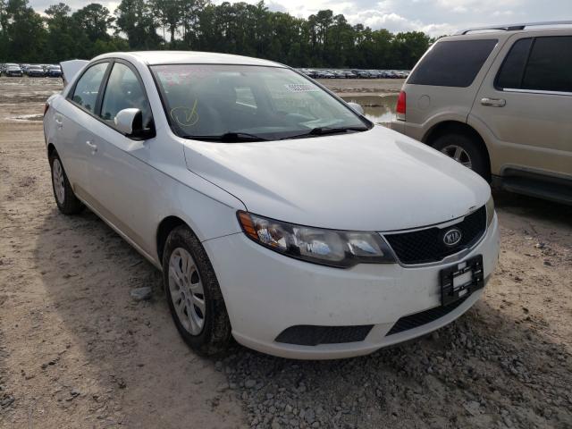 KIA FORTE EX 2010 knafu4a26a5848648