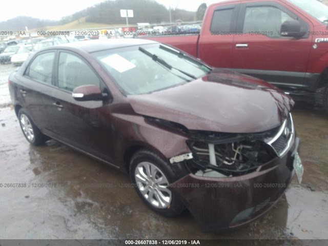 KIA FORTE 2010 knafu4a26a5850416