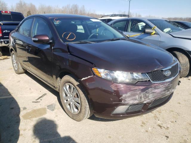 KIA FORTE EX 2010 knafu4a26a5855292