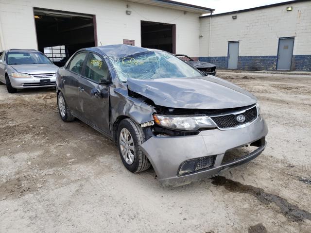 KIA FORTE EX 2010 knafu4a26a5858063