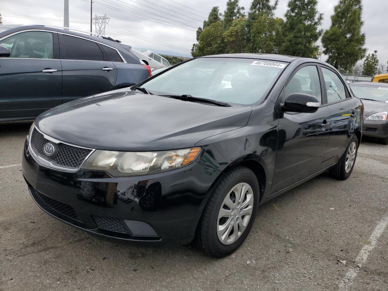 KIA FORTE 2010 knafu4a26a5874179