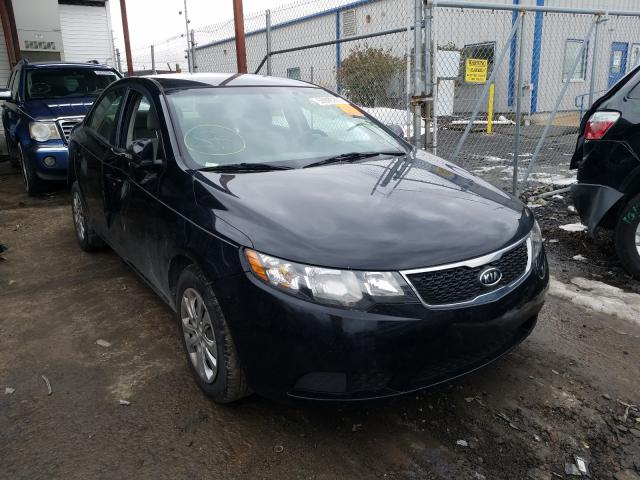 KIA FORTE EX 2011 knafu4a26b5323106