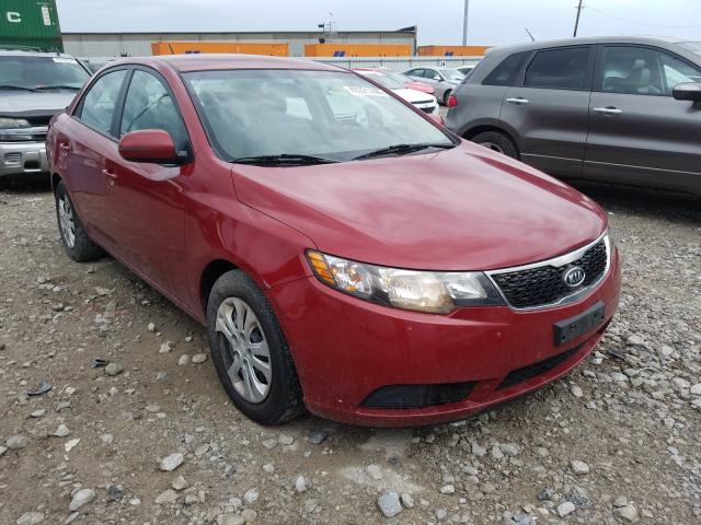 KIA FORTE EX 2011 knafu4a26b5329567