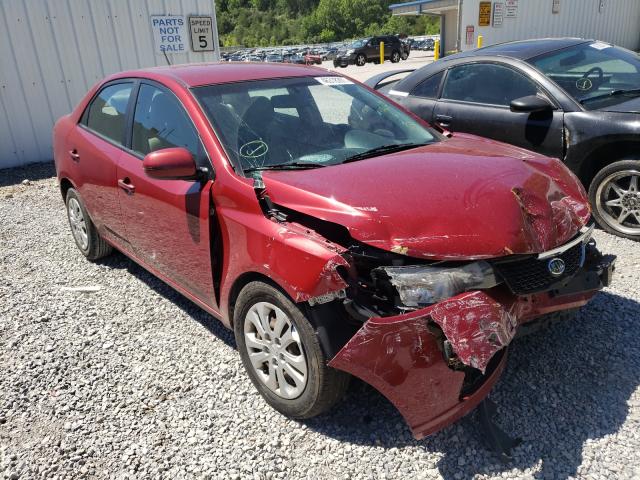 KIA FORTE EX 2011 knafu4a26b5352329