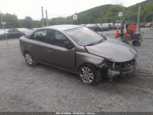 KIA FORTE 2011 knafu4a26b5359510