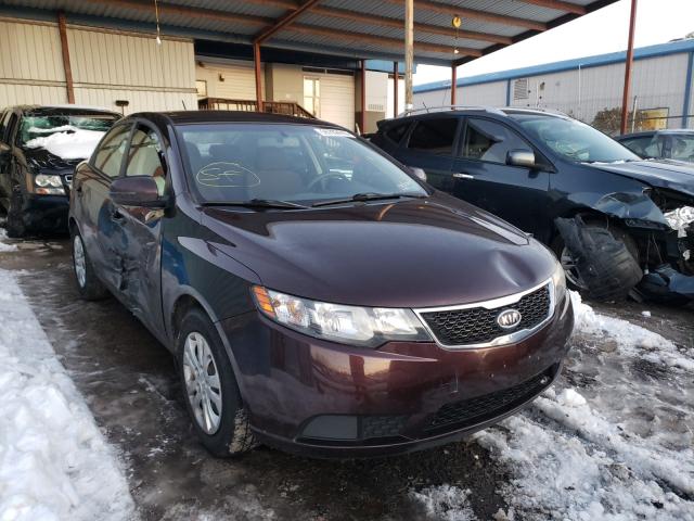 KIA FORTE EX 2011 knafu4a26b5366666