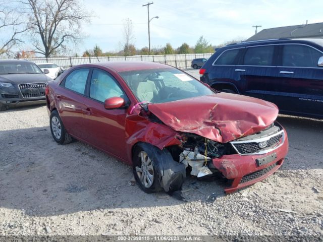 KIA FORTE 2011 knafu4a26b5419043