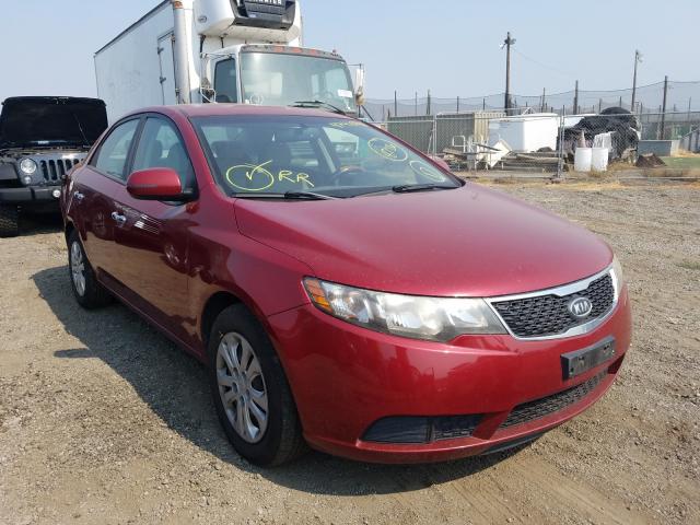 KIA FORTE EX 2011 knafu4a26b5442290