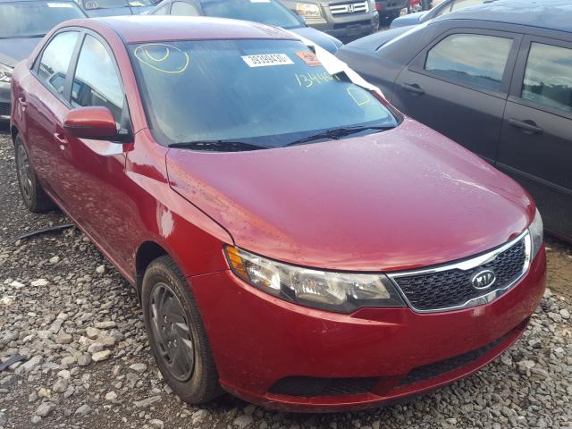 KIA FORTE EX 2011 knafu4a26b5443018