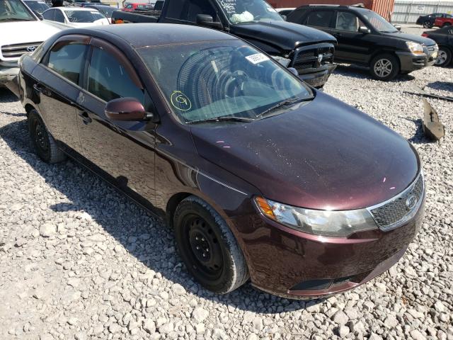 KIA FORTE EX 2011 knafu4a26b5459509