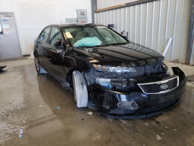 KIA FORTE EX 2012 knafu4a26c5474304