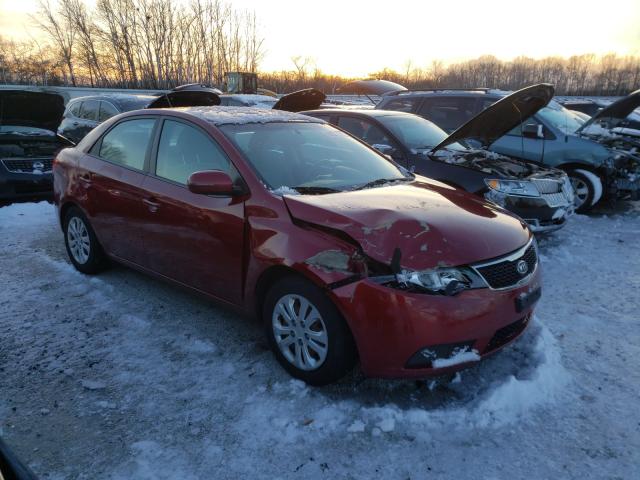 KIA FORTE EX 2012 knafu4a26c5492155