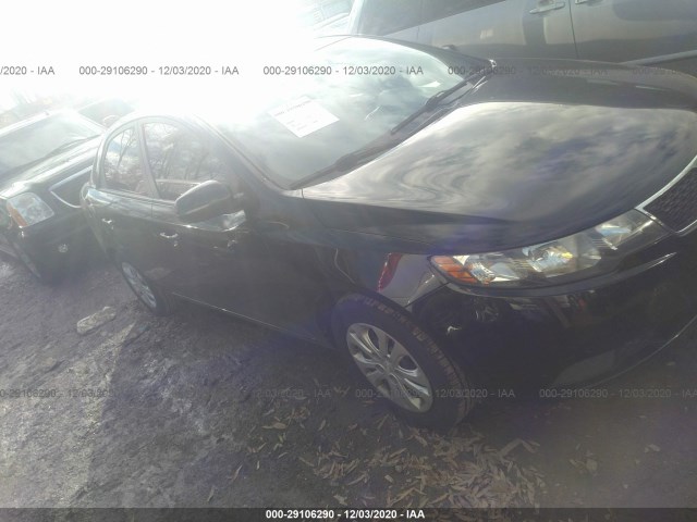 KIA FORTE 2012 knafu4a26c5503381